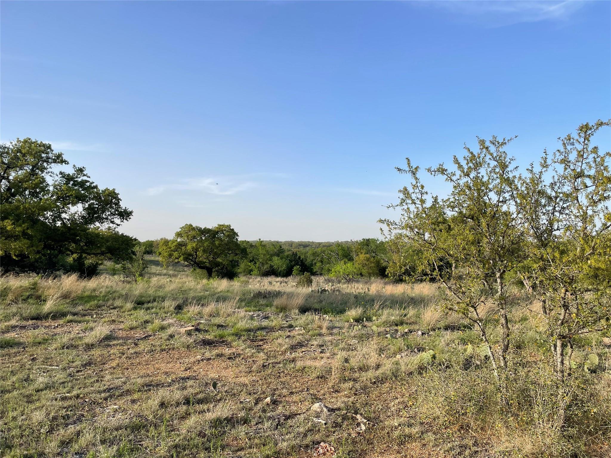 Rocky Hollow Lot 28 Buck RUN