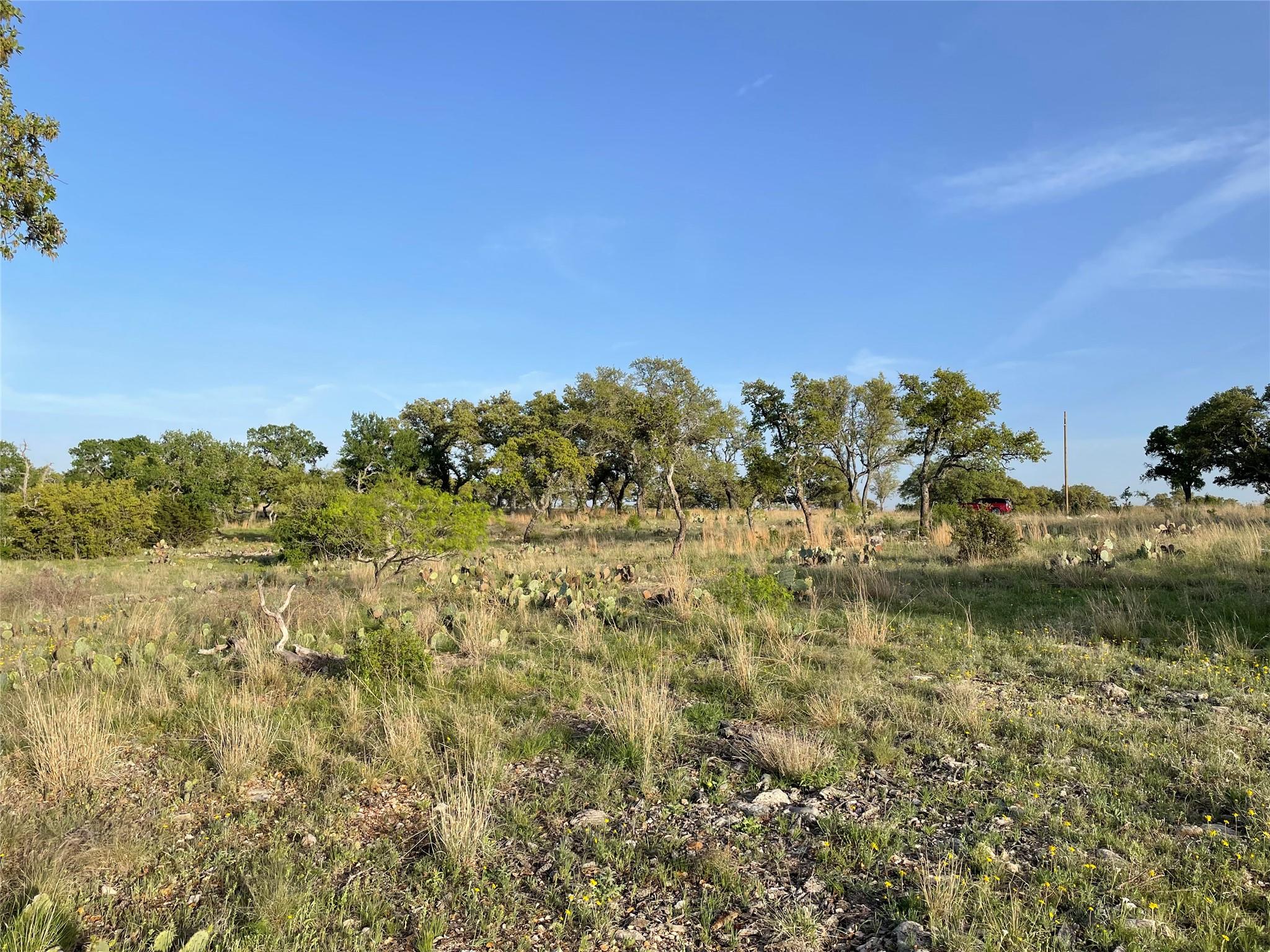 Rocky Hollow Lot 28 Buck RUN