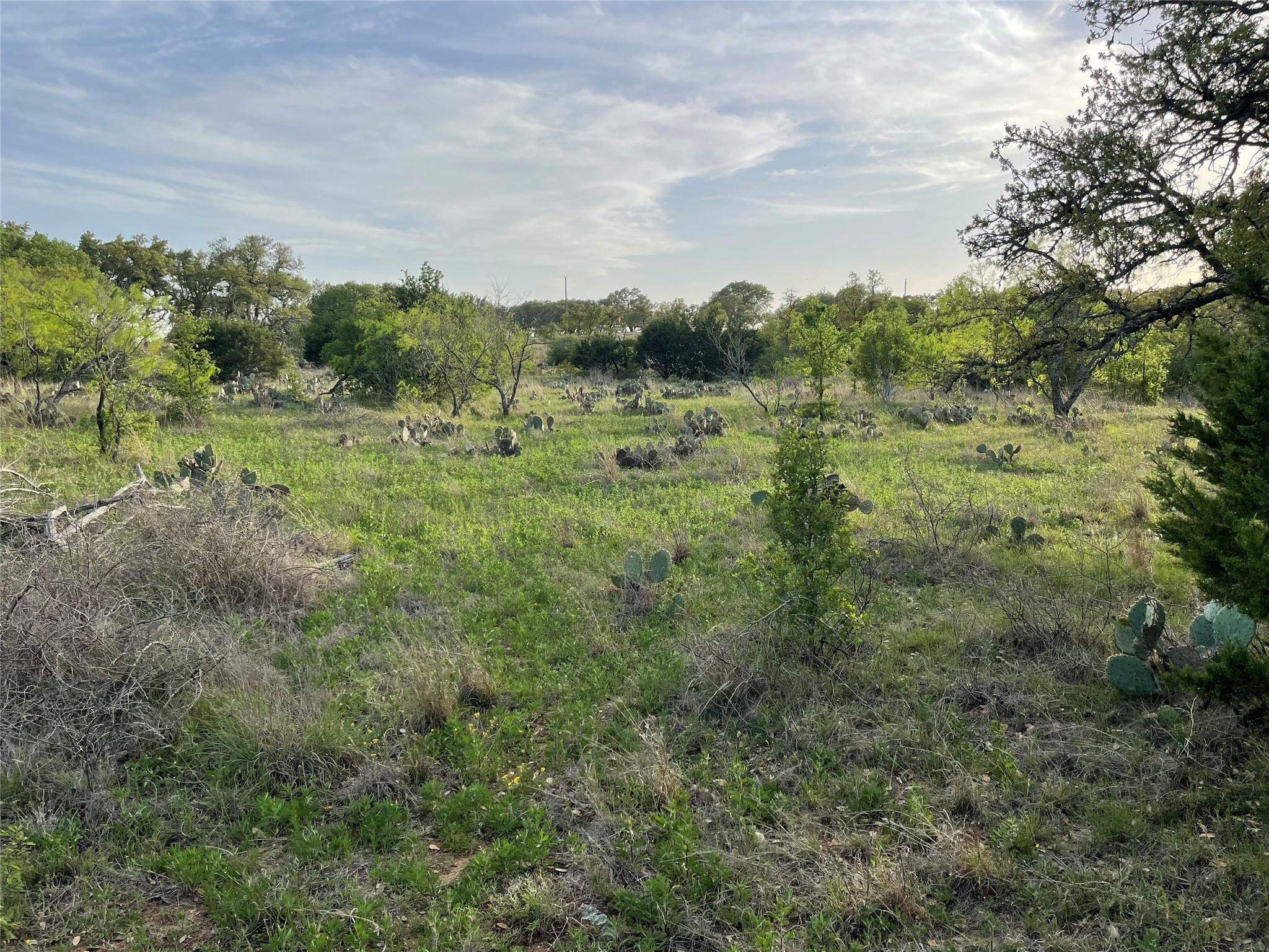 Rocky Hollow Lot 28 Buck RUN