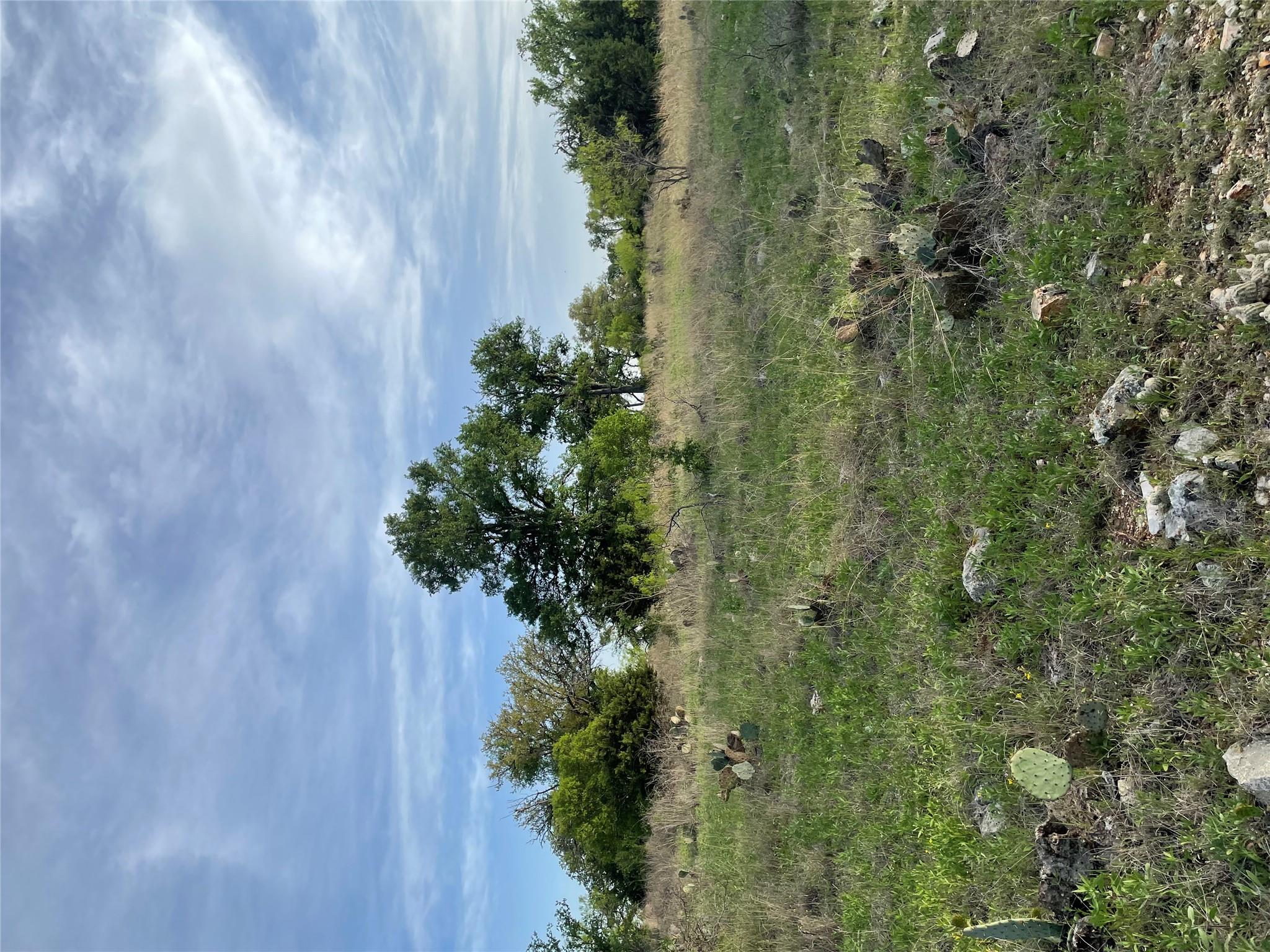 Rocky Hollow Lot 28 Buck RUN