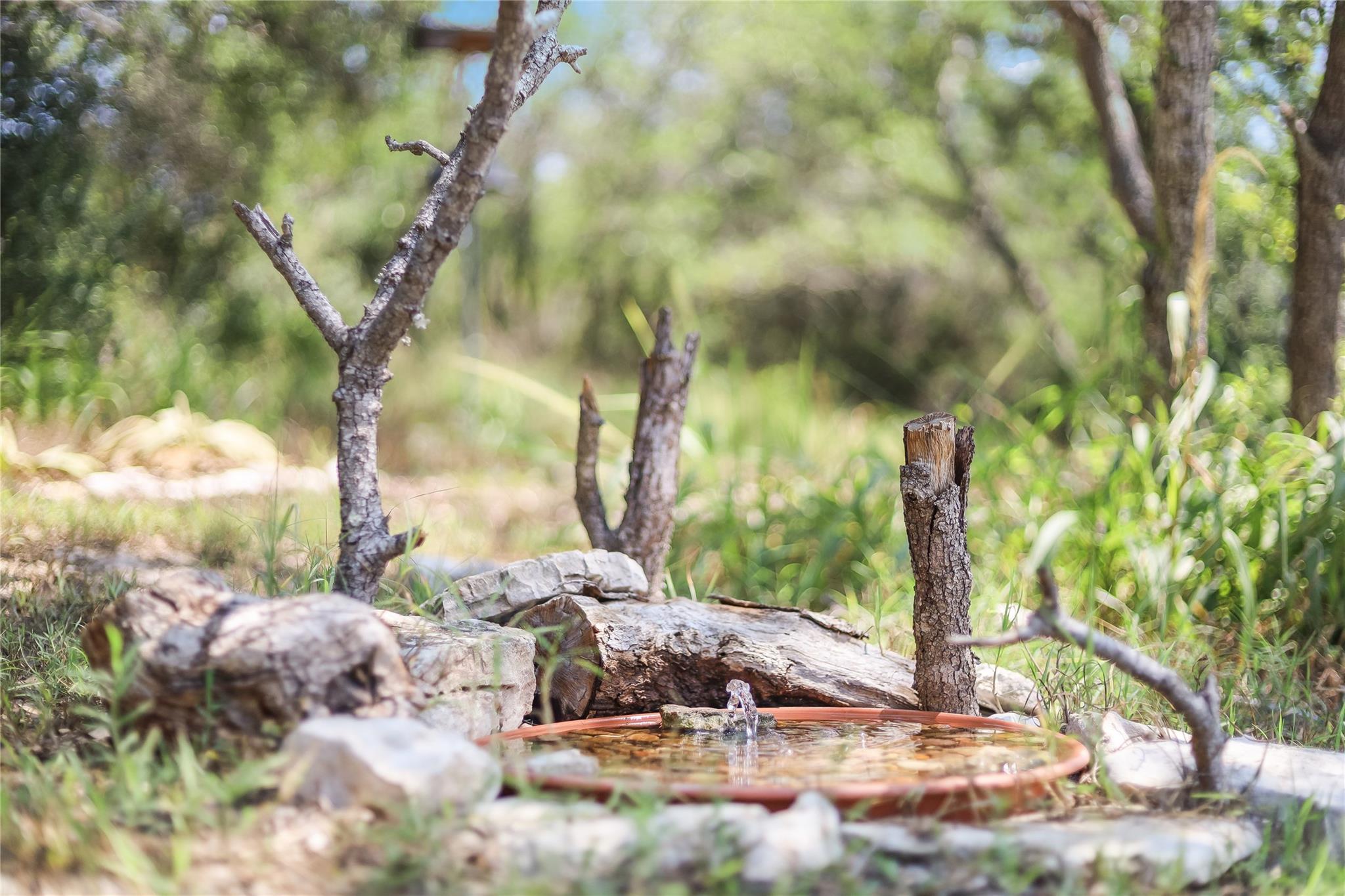 10013 Little Creek CIR