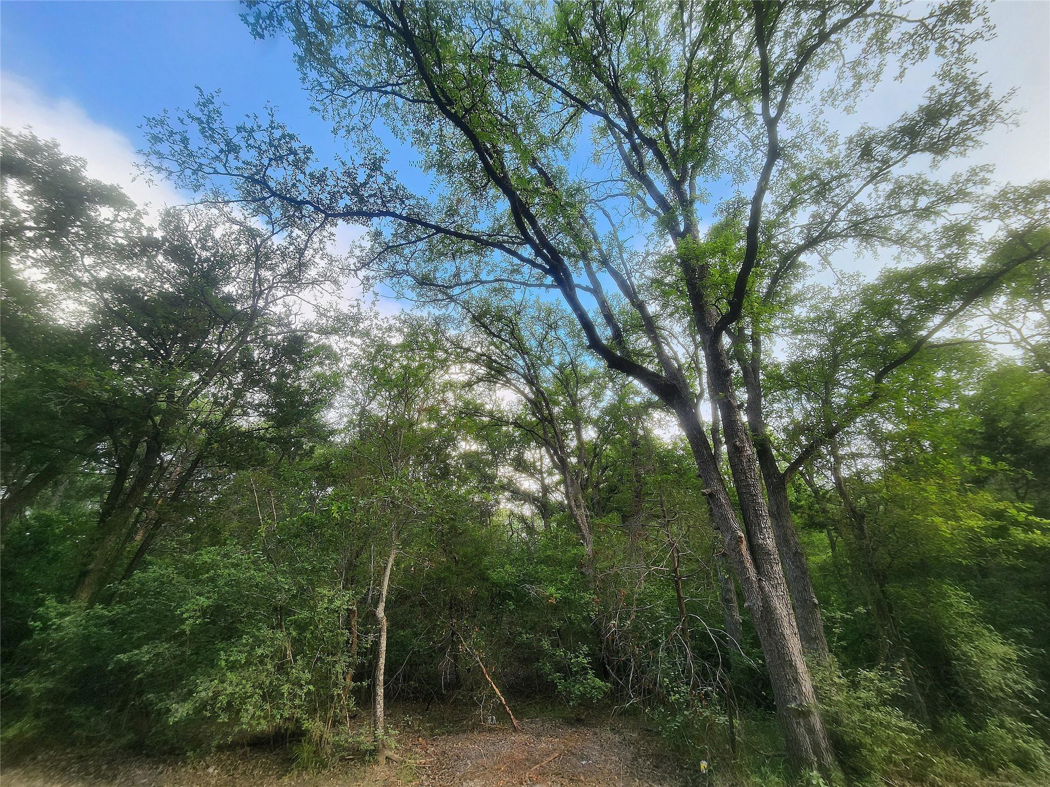 TBD Post Oak Rim DR