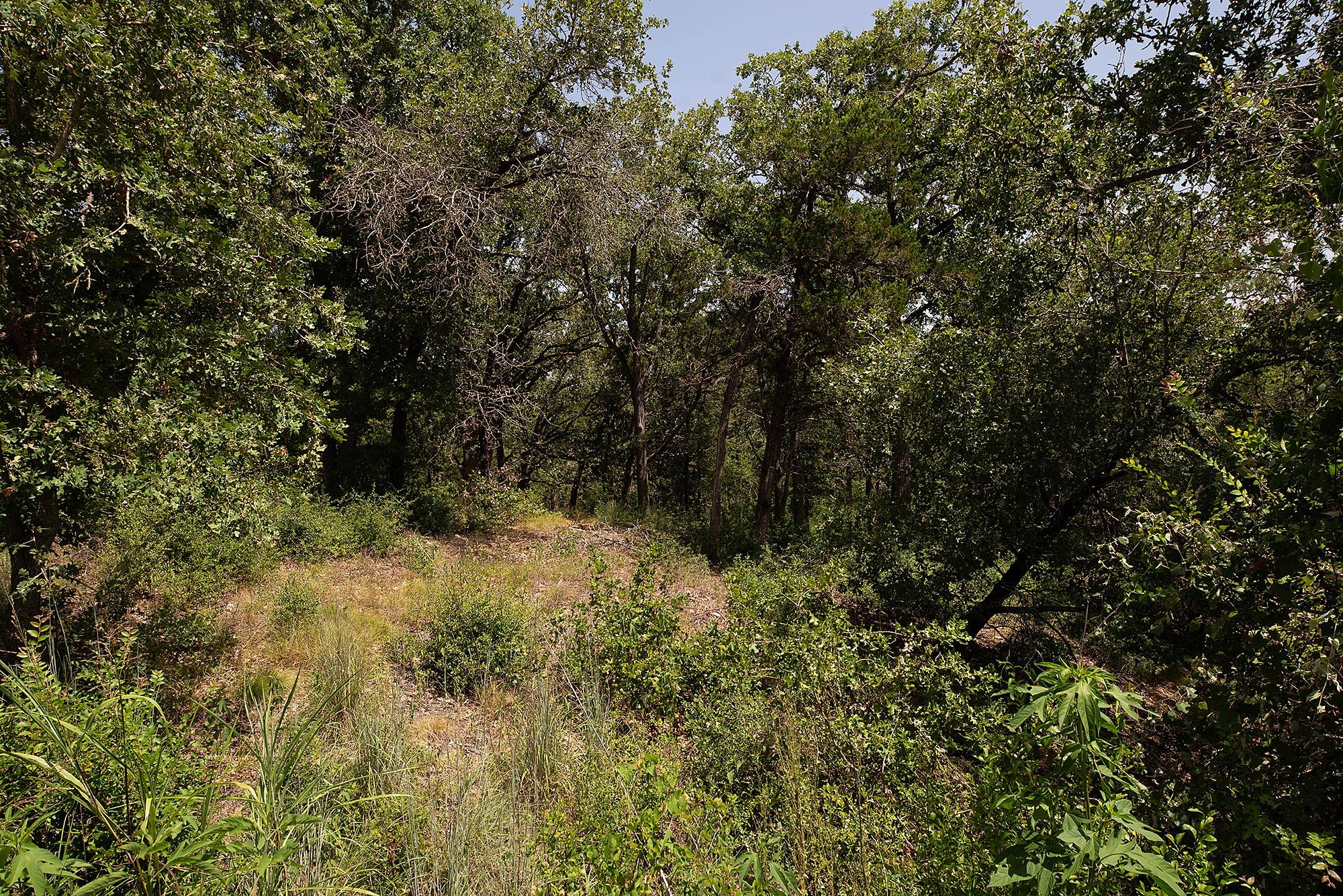TBD Post Oak Rim DR