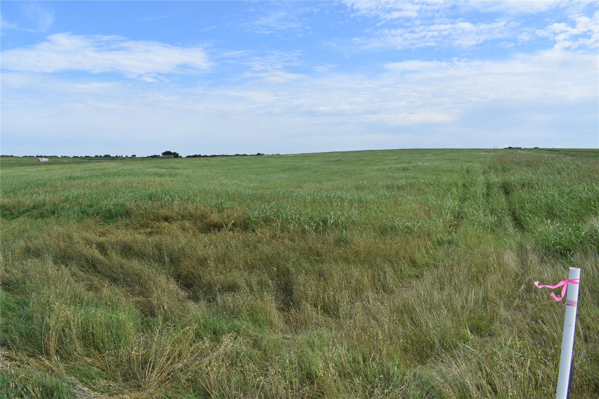 427 County Road 158