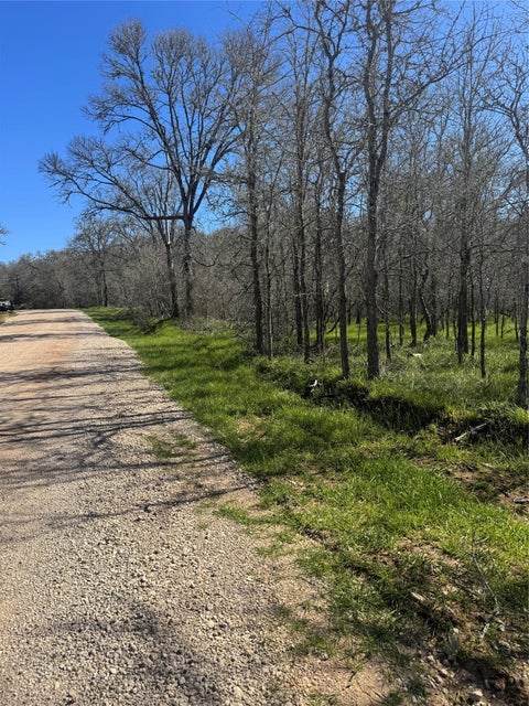 Photo of 291 Kolekole LN, Bastrop, TX 78602 (MLS # 9379317)