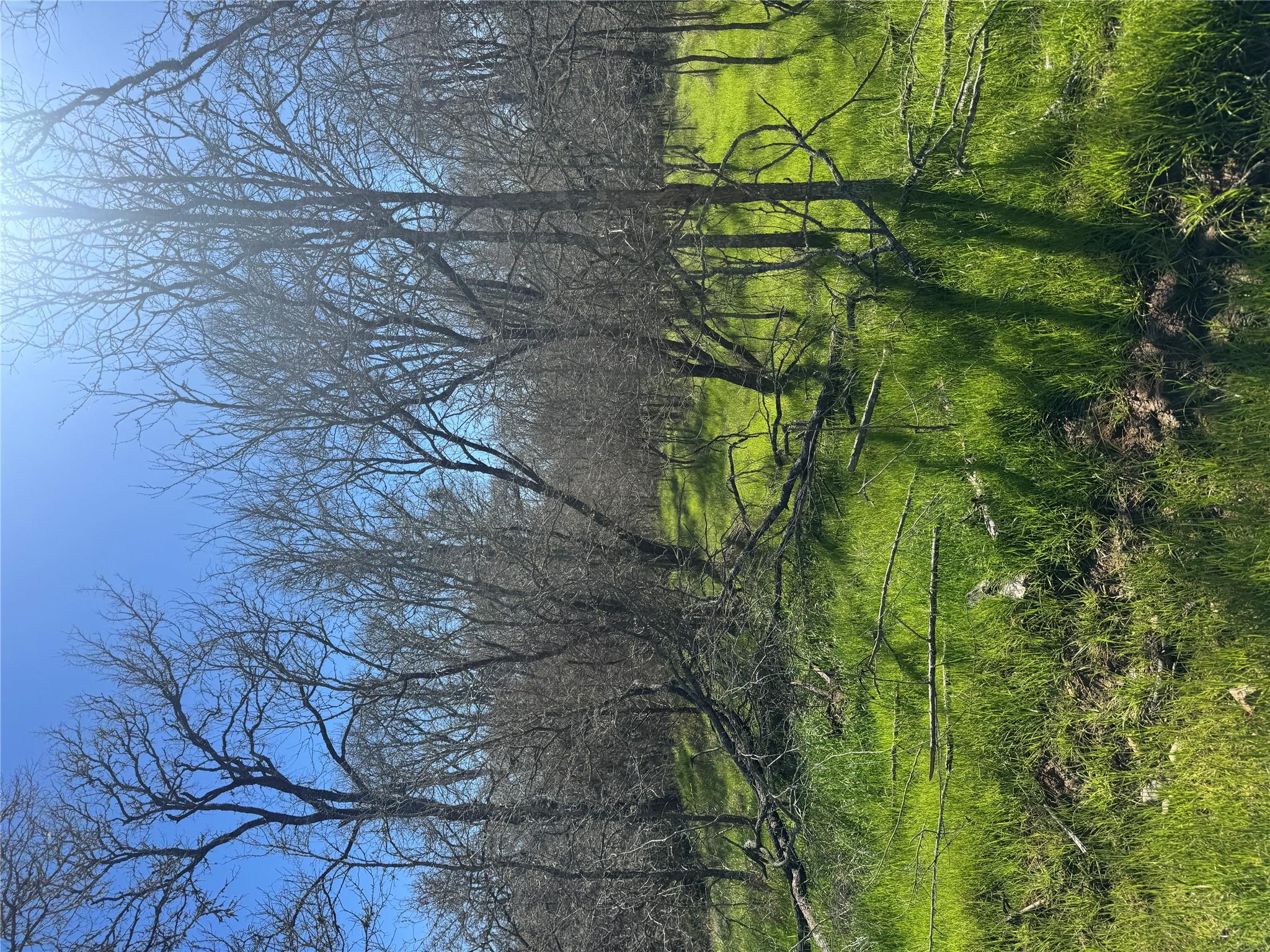 291 Kolekole LN
