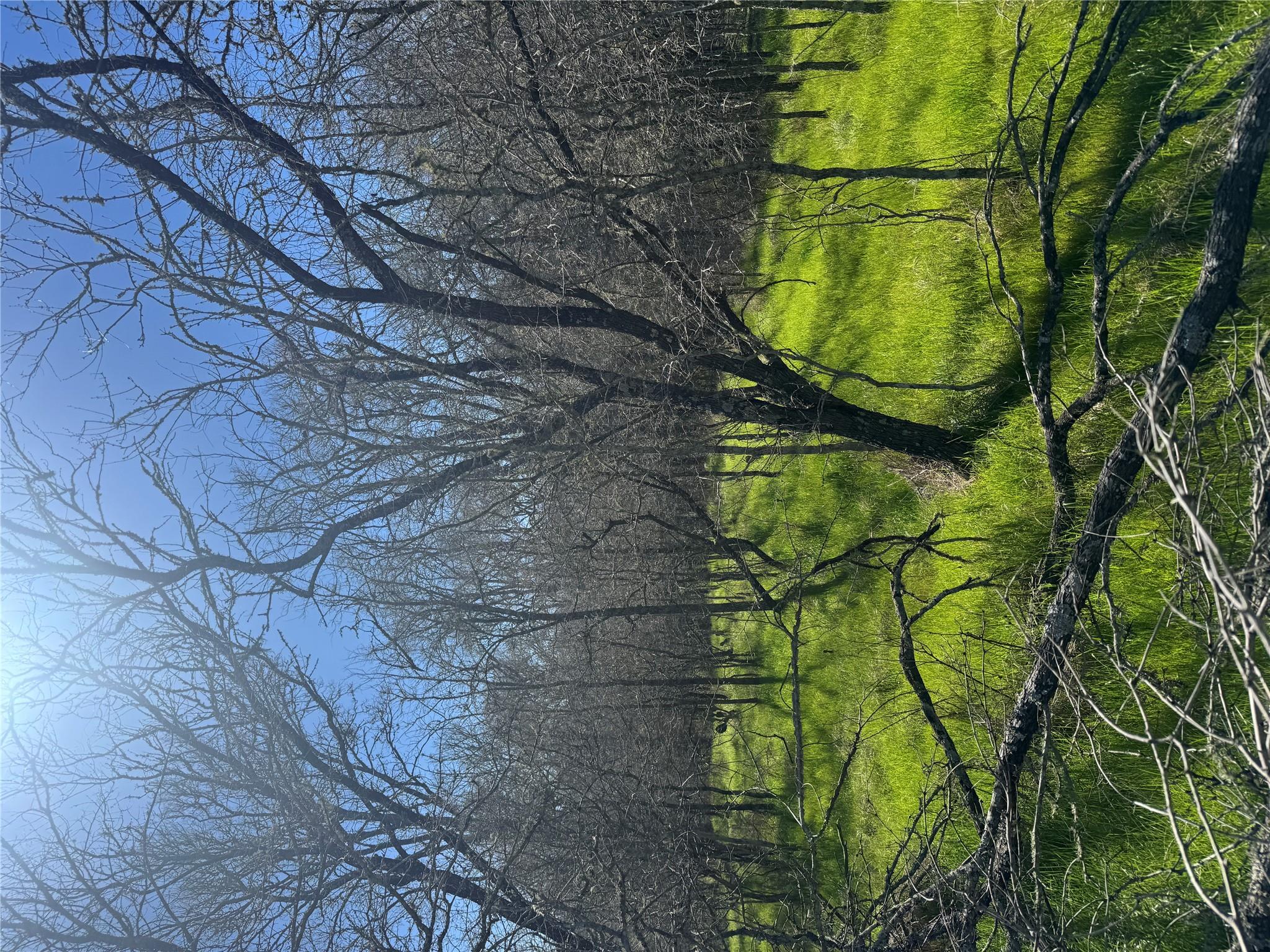 291 Kolekole LN