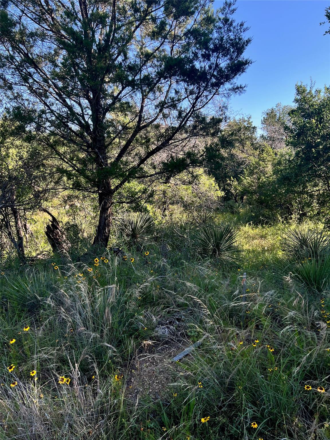 TBD Castlelake DR