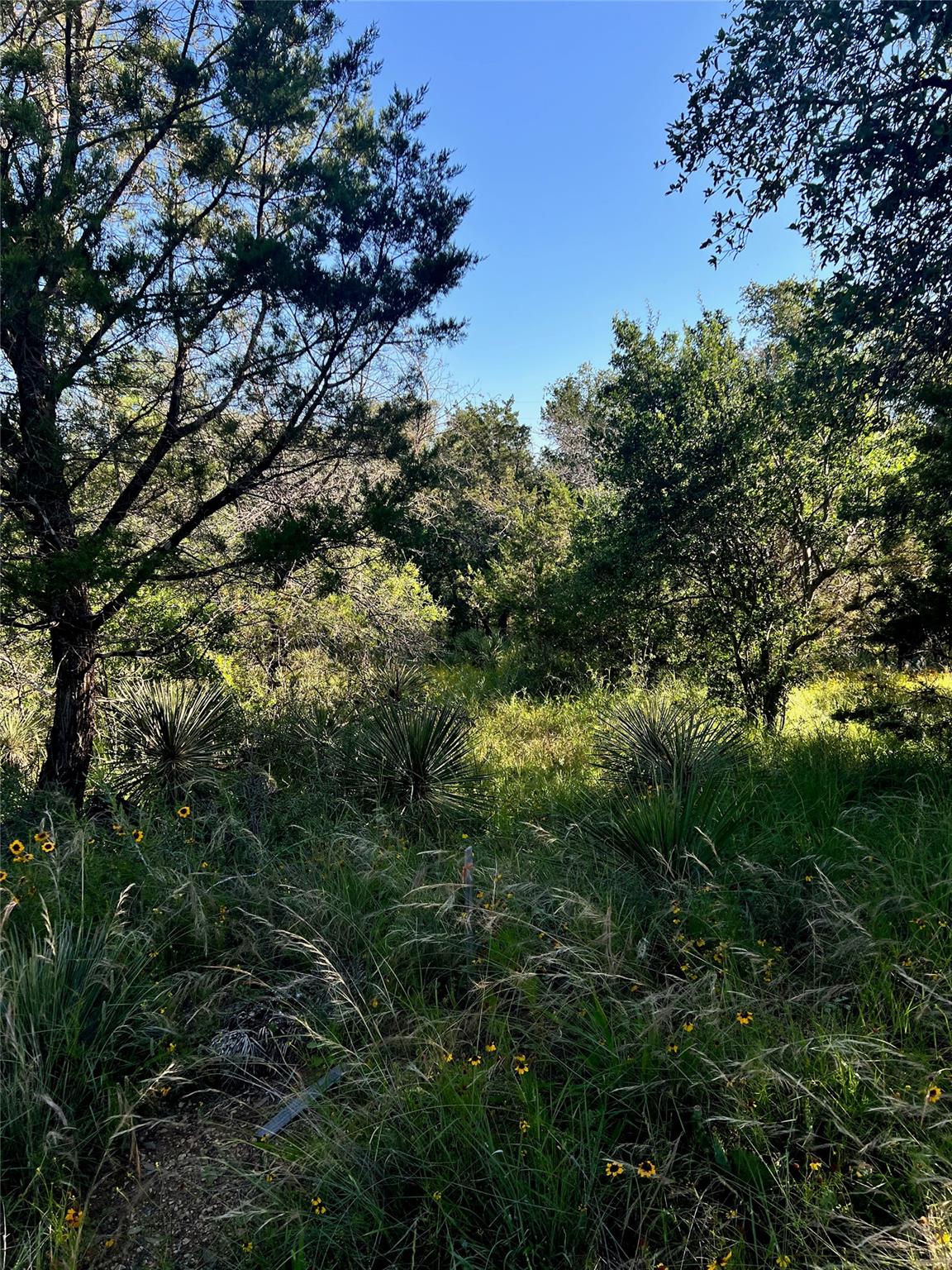 TBD Castlelake DR