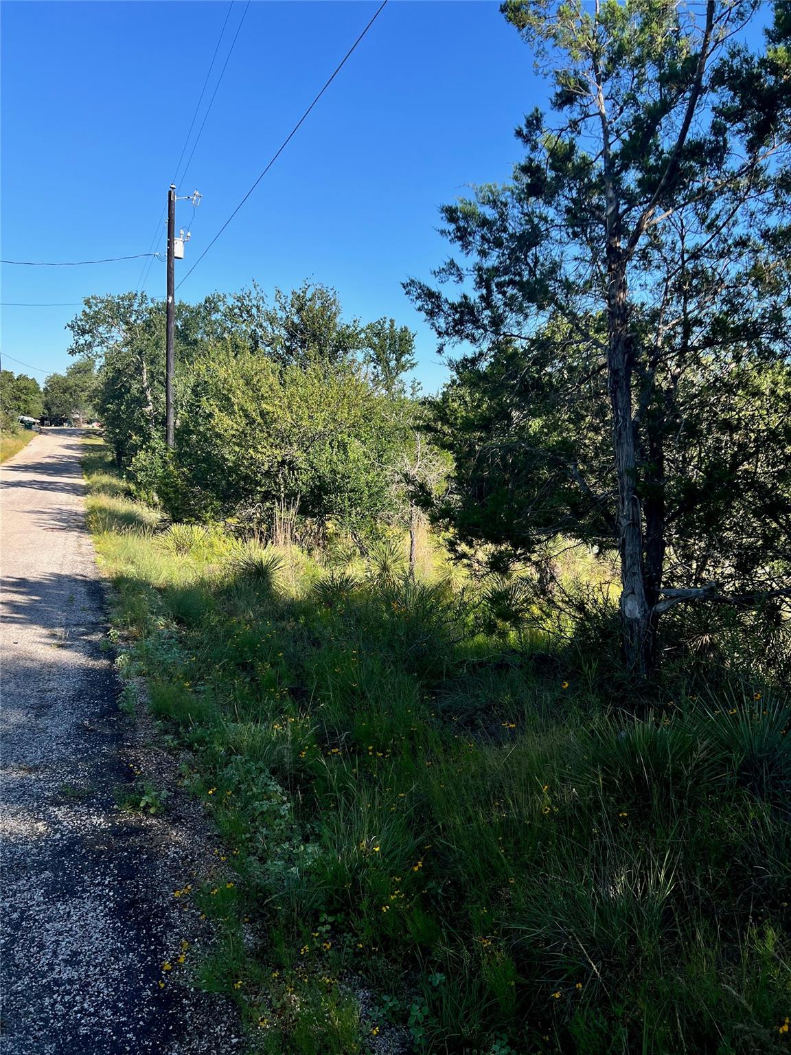 TBD Castlelake DR