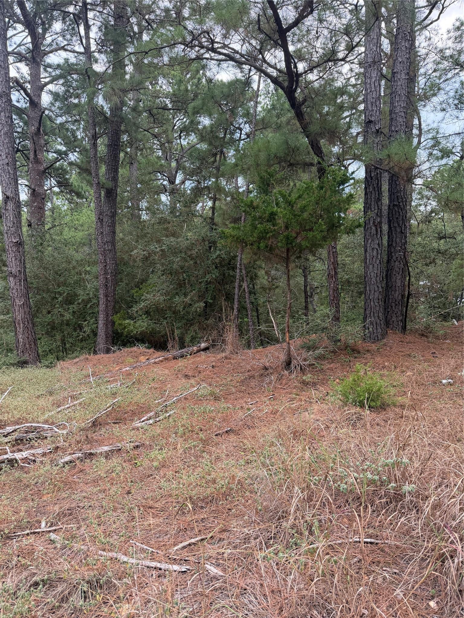 Lot 69 and 70 Taro CT