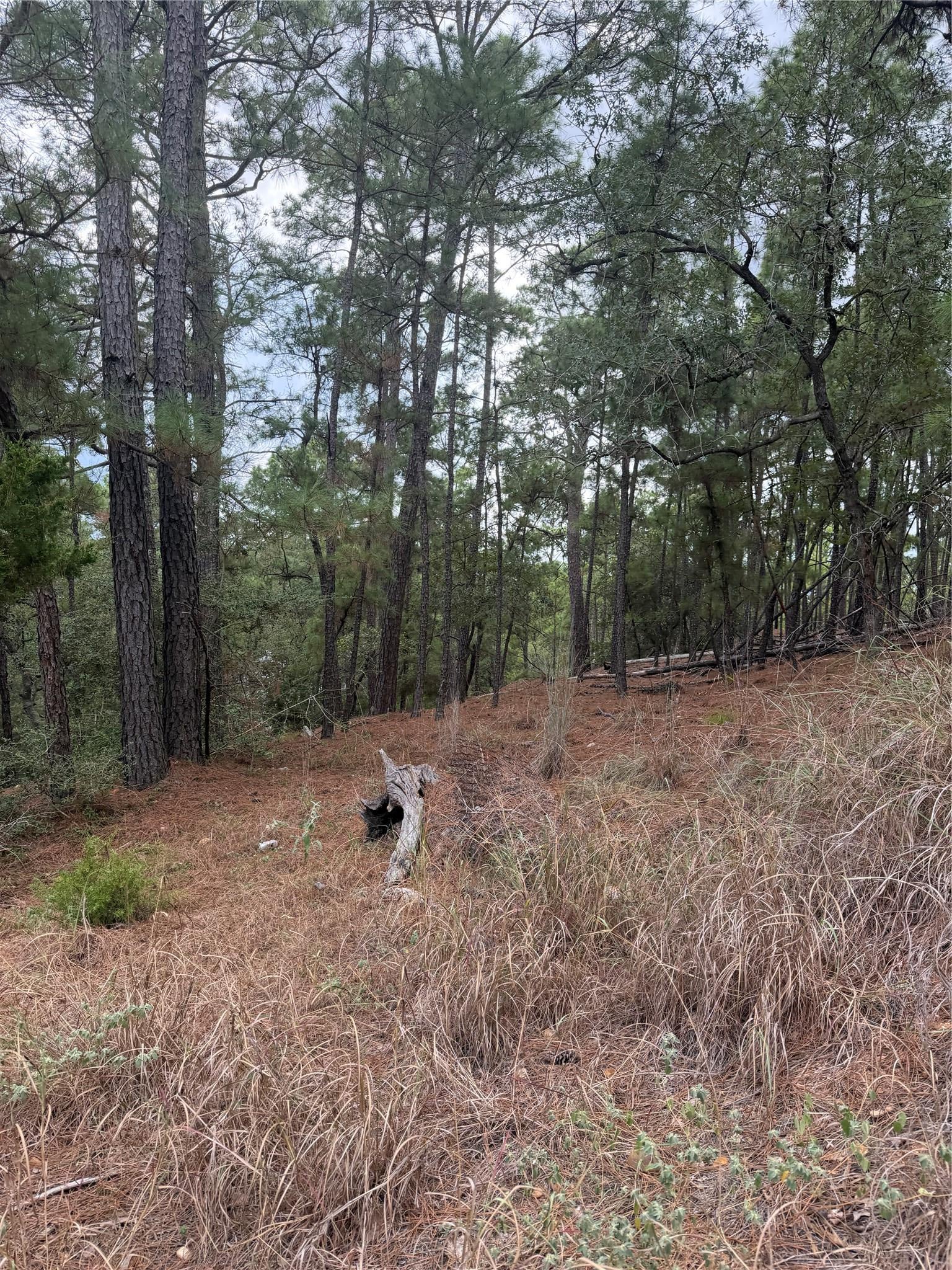 Lot 69 and 70 Taro CT