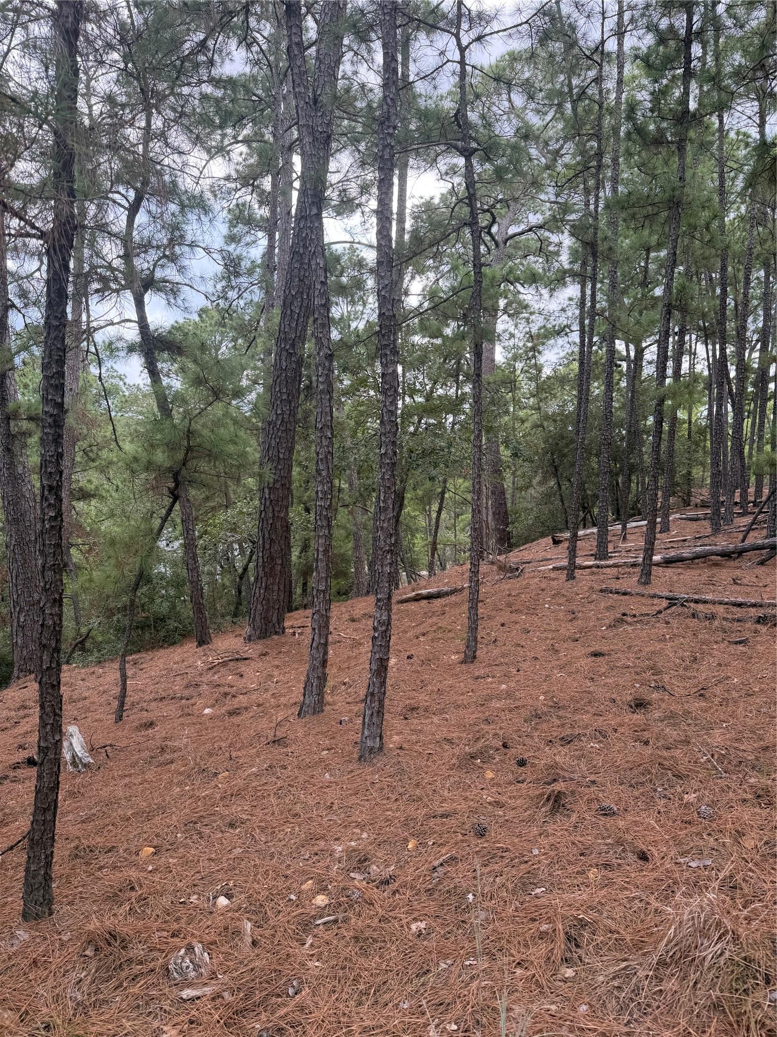 Lot 69 and 70 Taro CT
