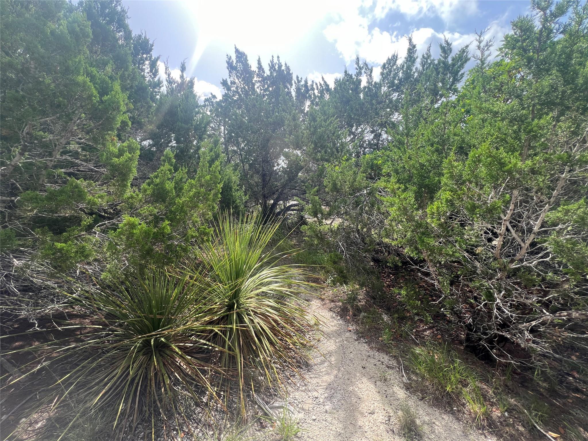 268 Scenic Hills DR