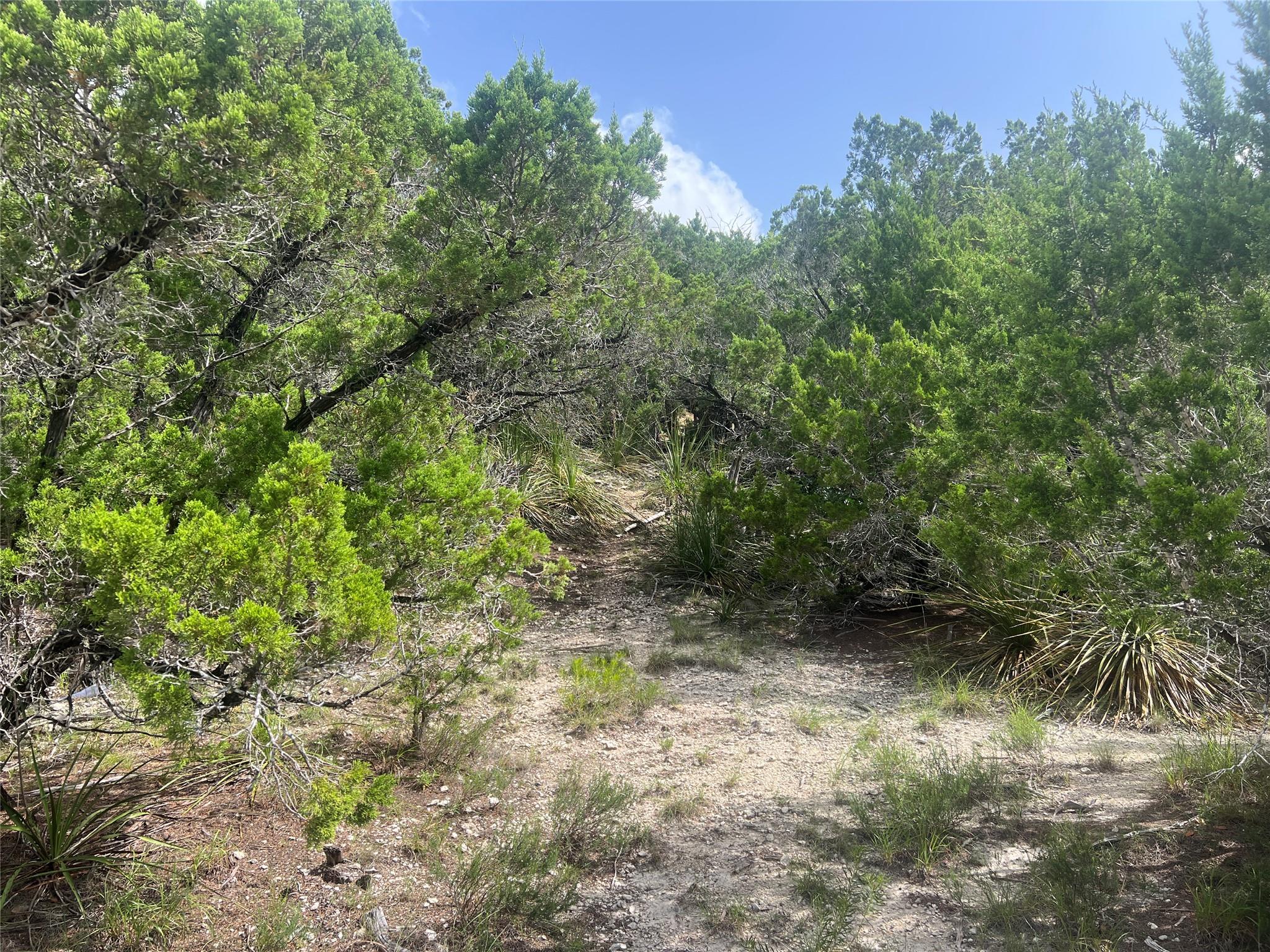 268 Scenic Hills DR
