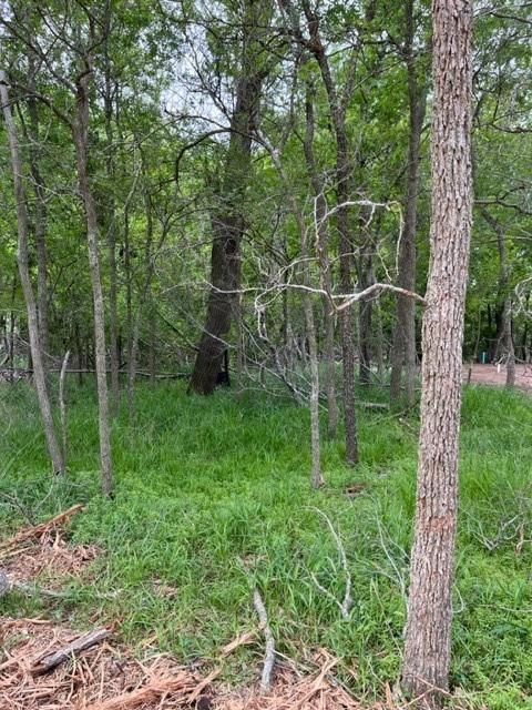 Photo of 225 Kahana LN, Bastrop, TX 78602 (MLS # 6028493)