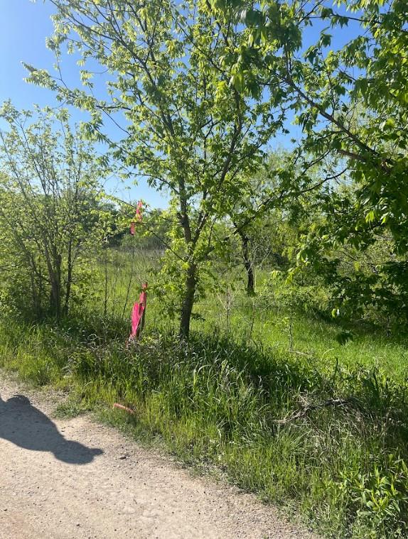 W Brook St(Lot #2, Bk 72) W Brook ST