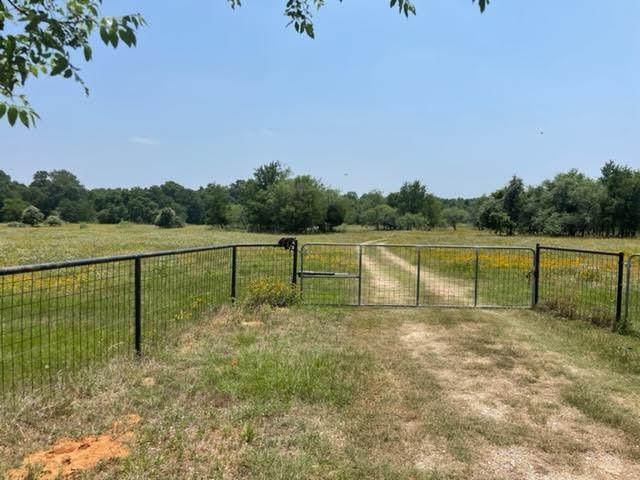 1010 County Road 490