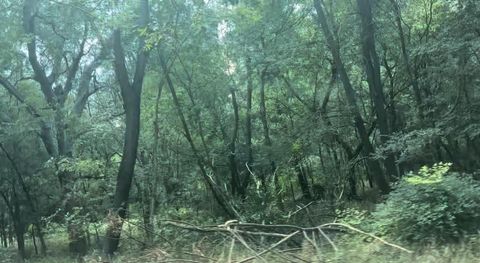 4202 Kings CT Austin TX 78725