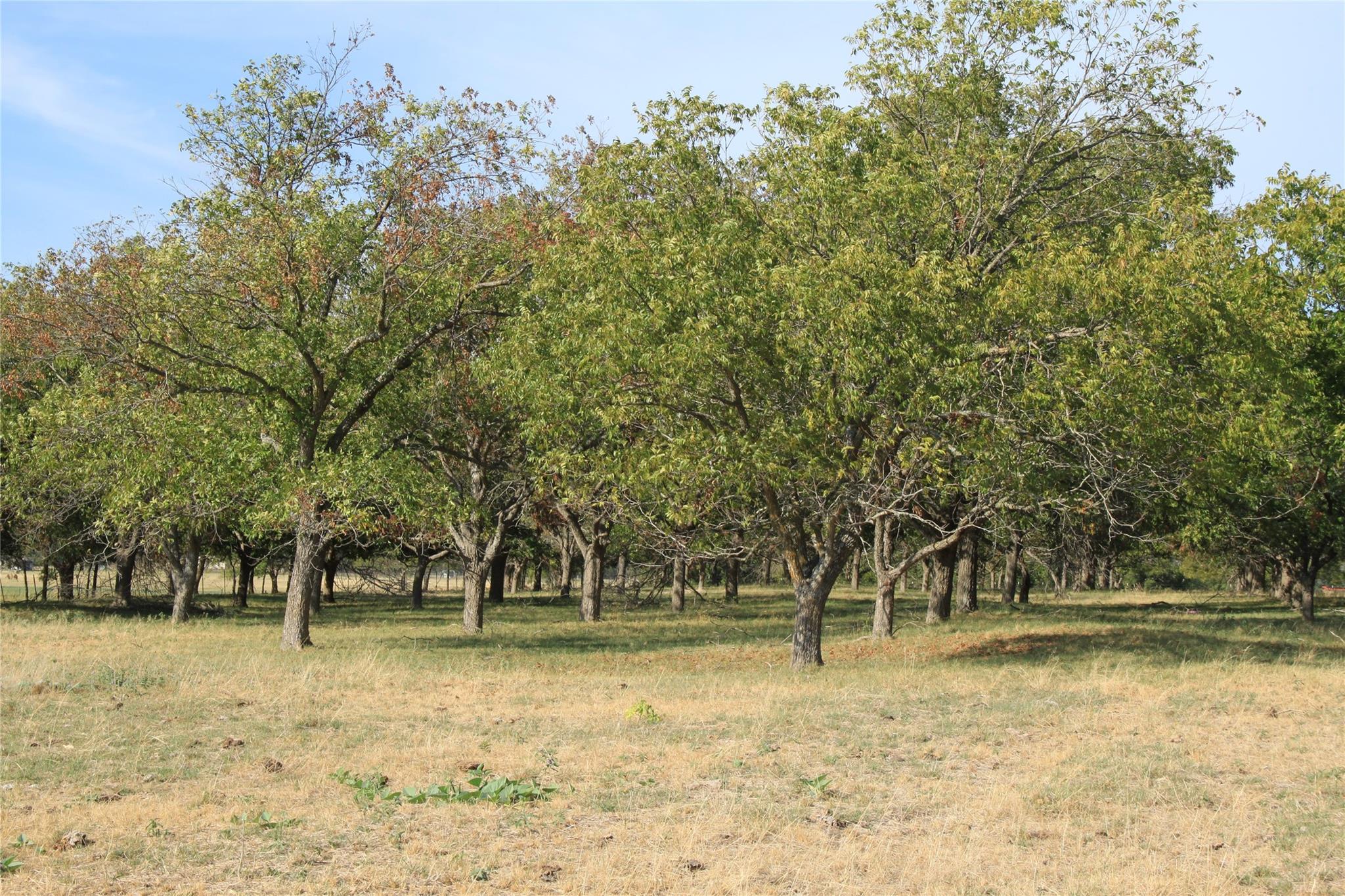 13050 E E State Hwy 29, Georgetown, Texas, 78626