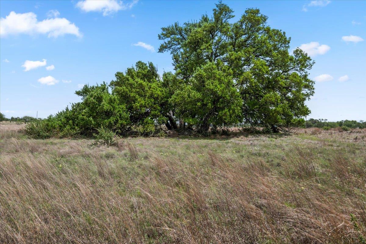 6594 W Hwy 290