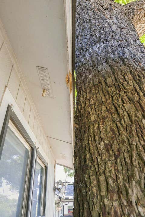 Tiny photo for 4414 Jinx Ave, Austin, TX 78745 (MLS # 1505147)