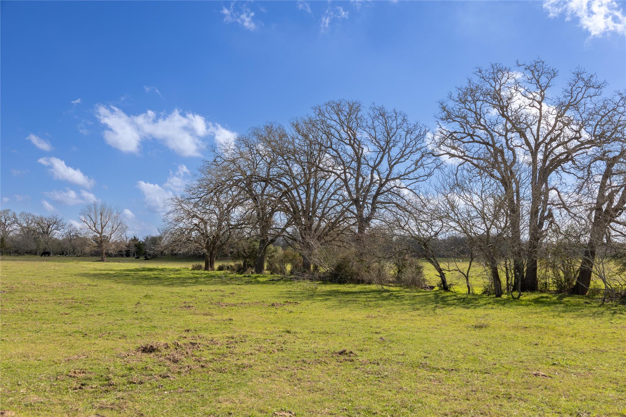 Lot 13 Mule Creek Road
