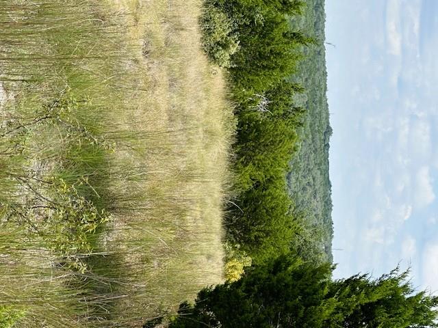 TBD Lot 1 Soaring Eagle DR