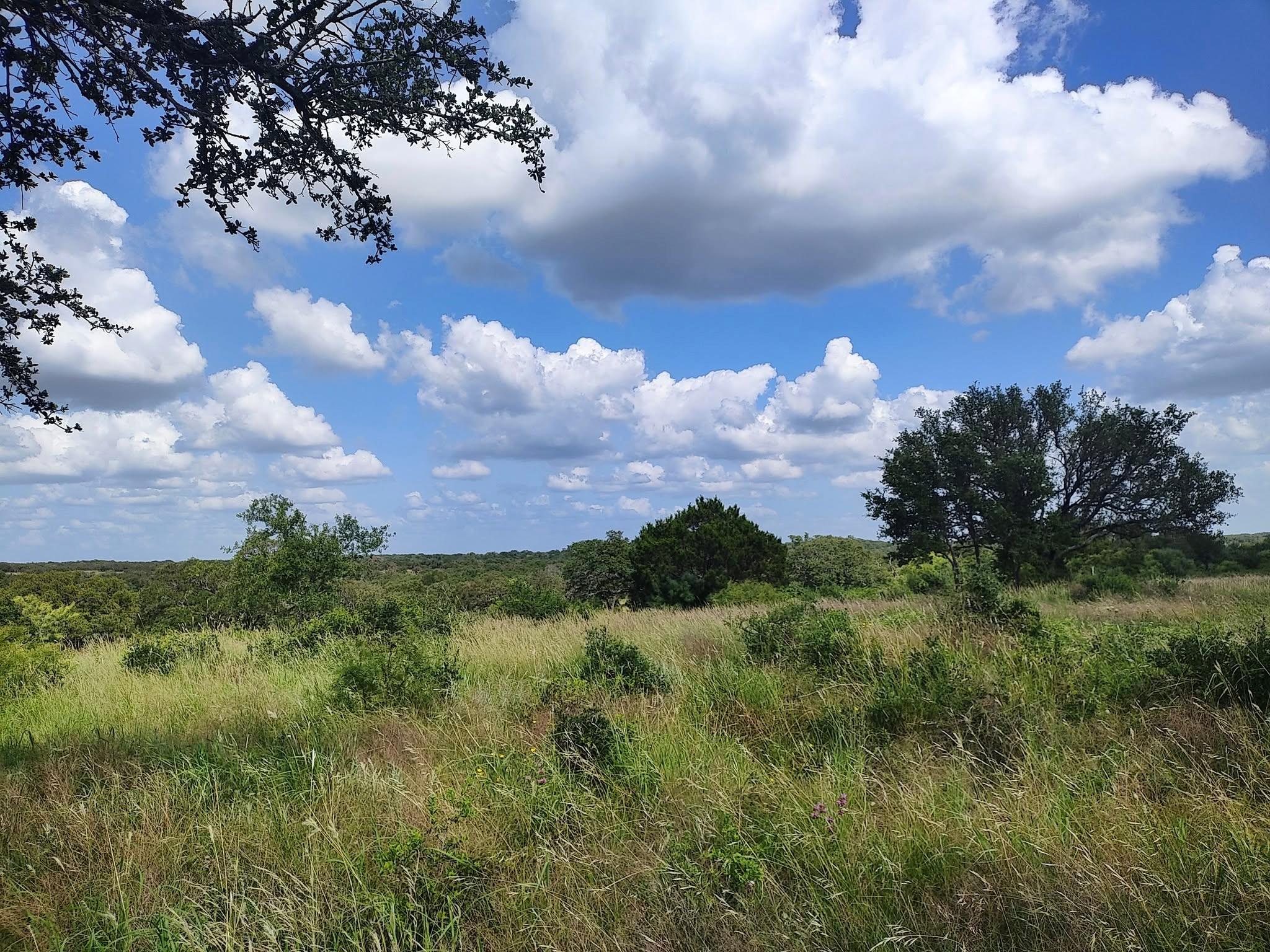 Lot 36 Buck Run