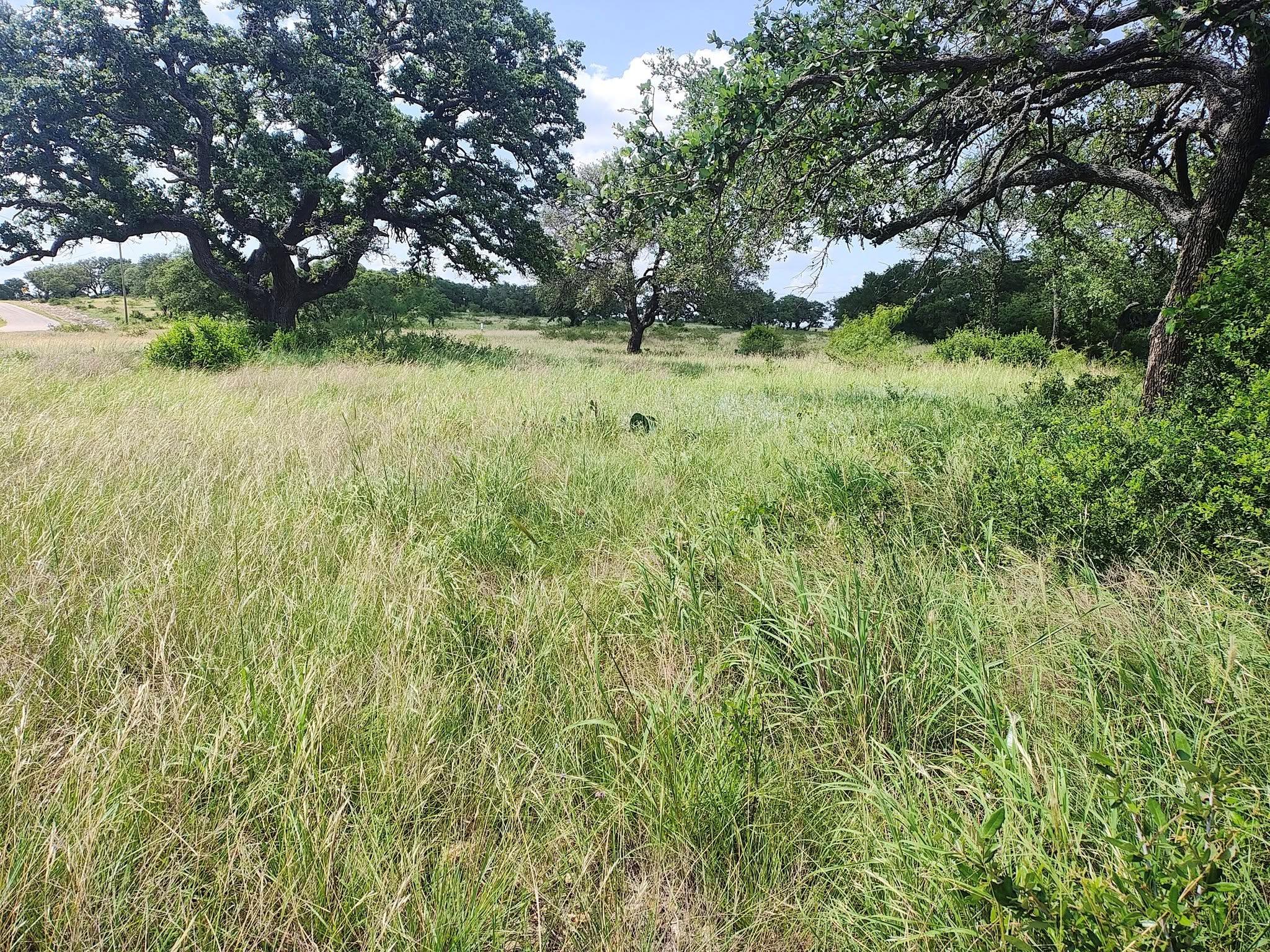Lot 36 Buck Run