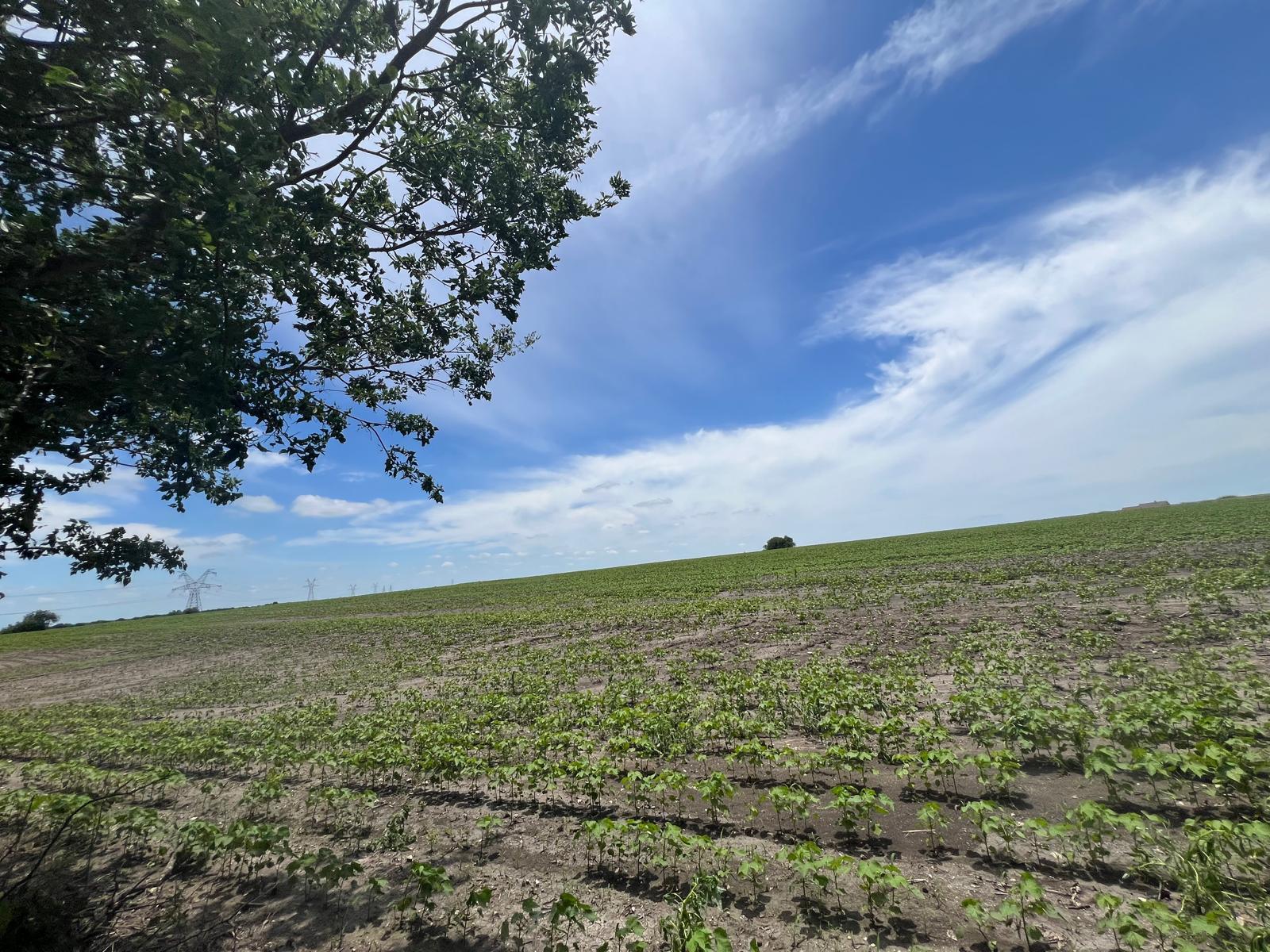 000 County Rd 327 RD