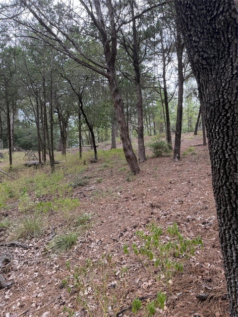 Photo of Lot 289 Aka CT, Bastrop, TX 78602 (MLS # 1653534)
