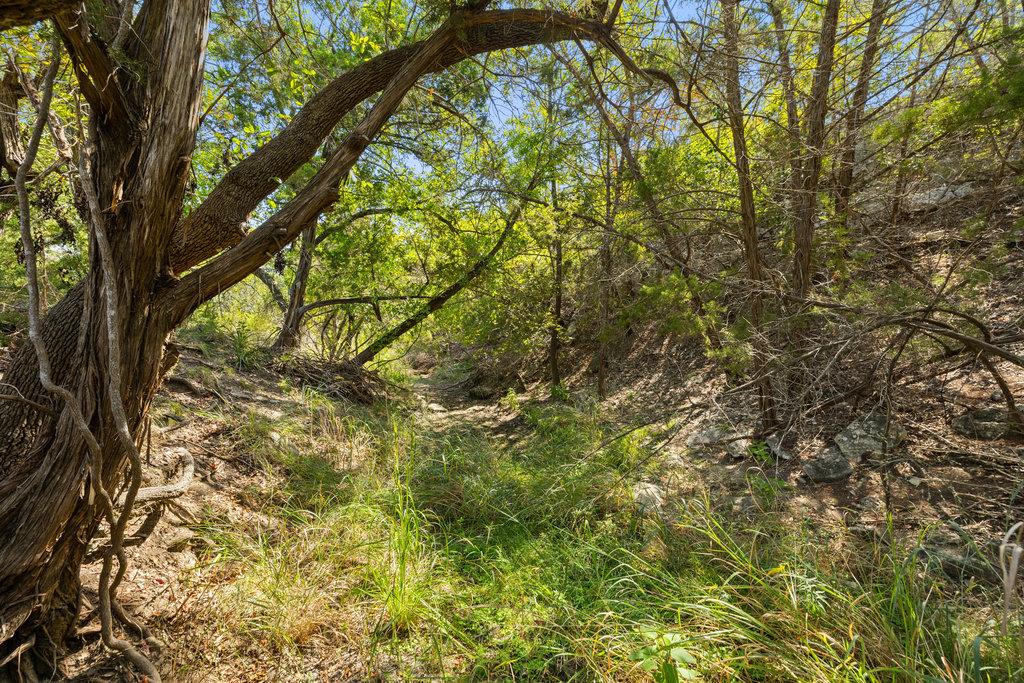 Tract 3 of 5818 Ranch Road 165