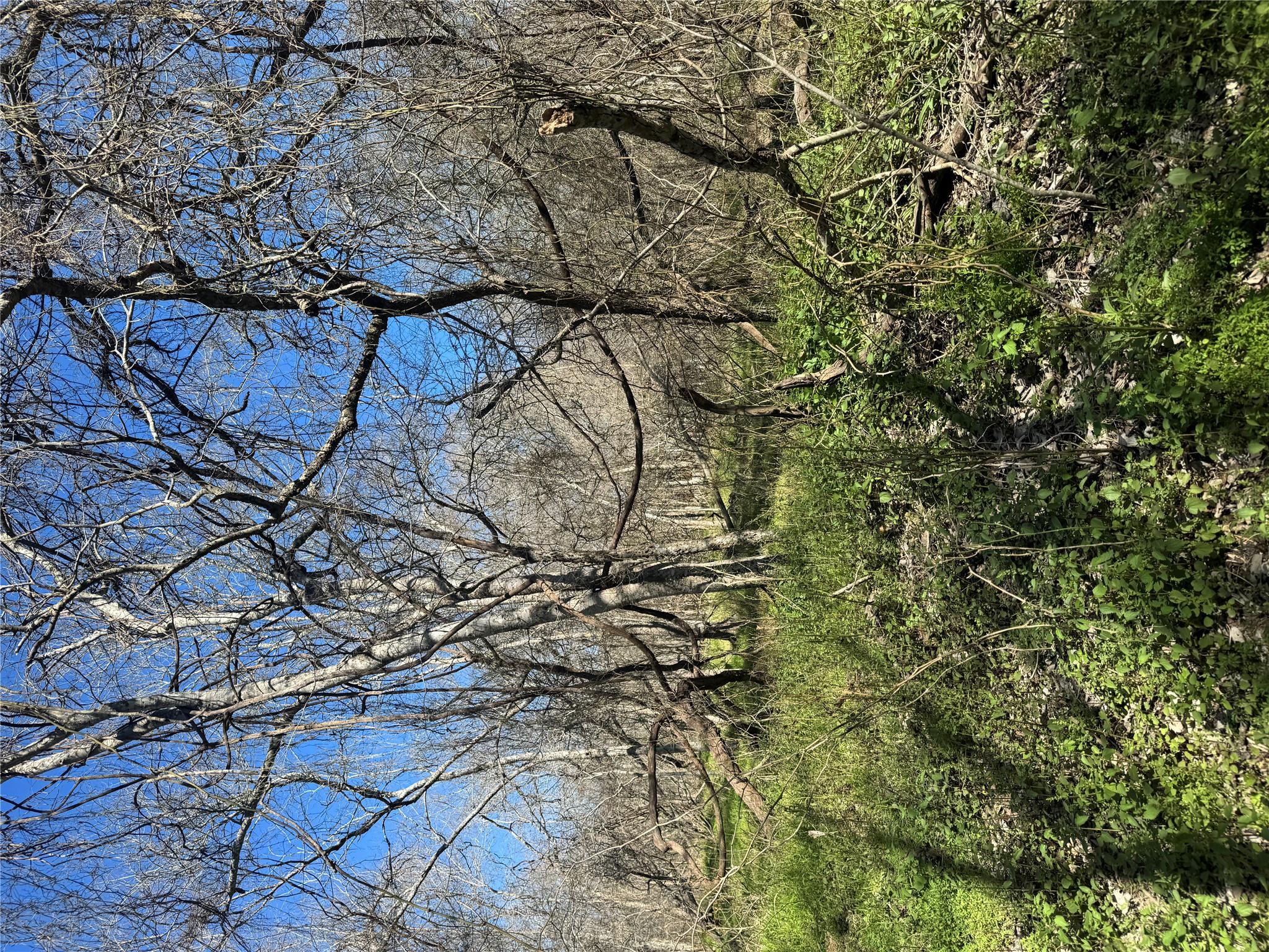 Lot 961 Riverside DR