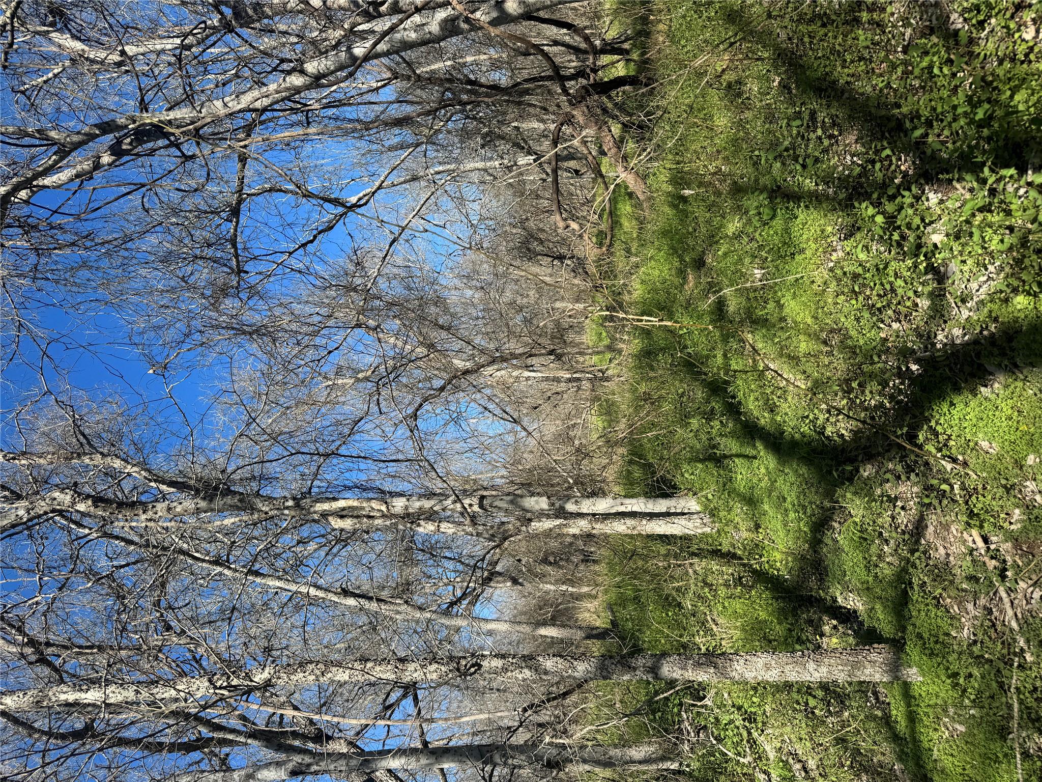 Lot 961 Riverside DR