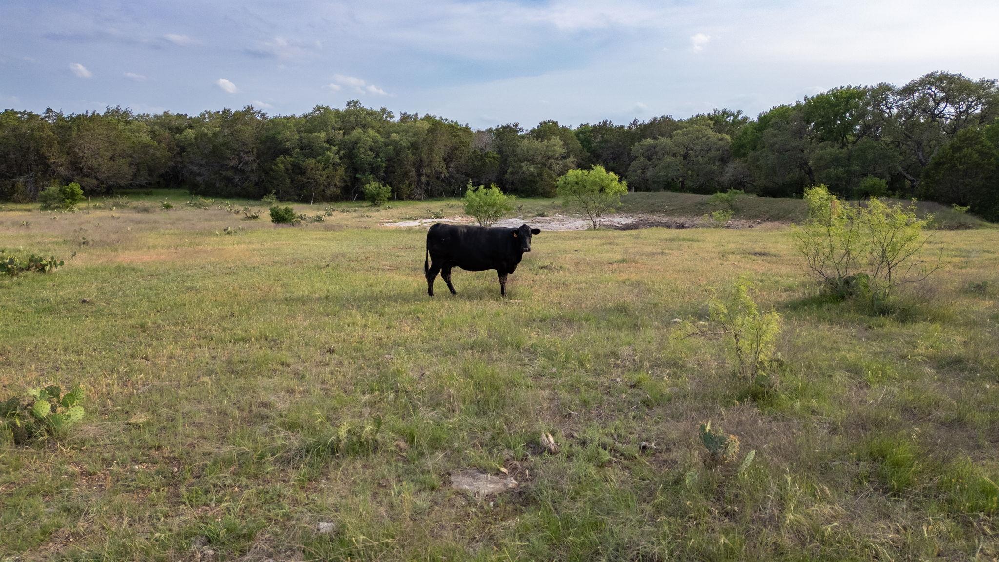 TBD County Road 105