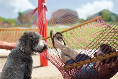 Tiny photo for 1018B Brickell LOOP, Austin, TX 78744 (MLS # 1907362)