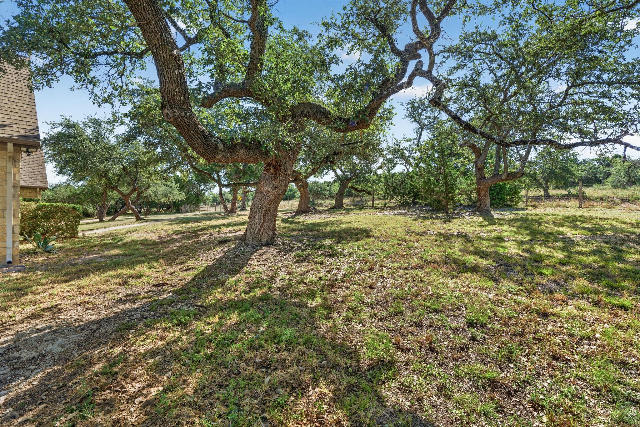 31887 Mirela Ann LN
