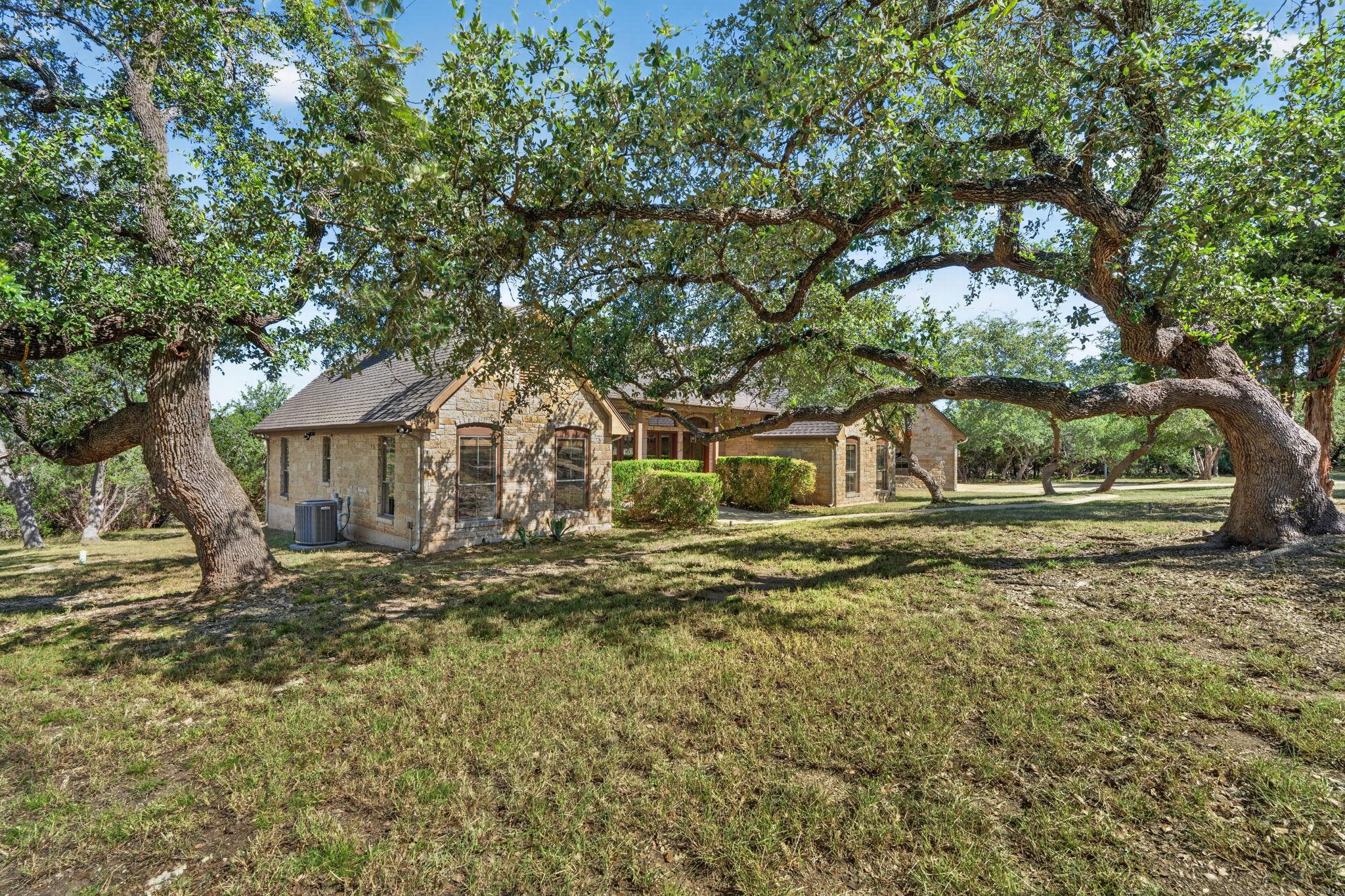 31887 Mirela Ann LN