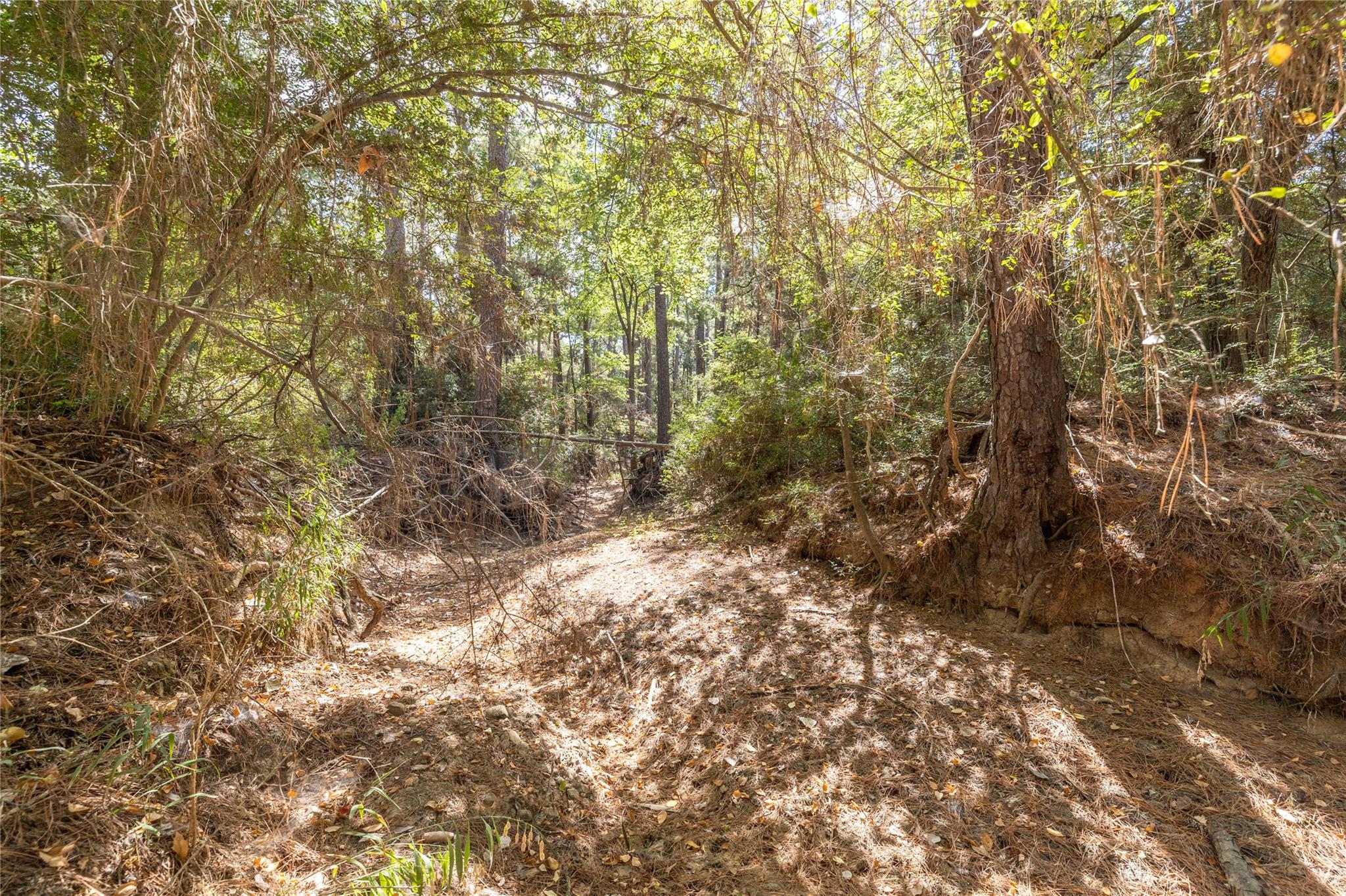 LOT 240 Hekili DR