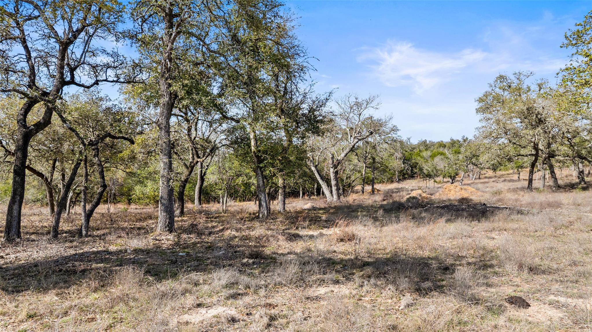 Tract 10 Ranch Road 1623