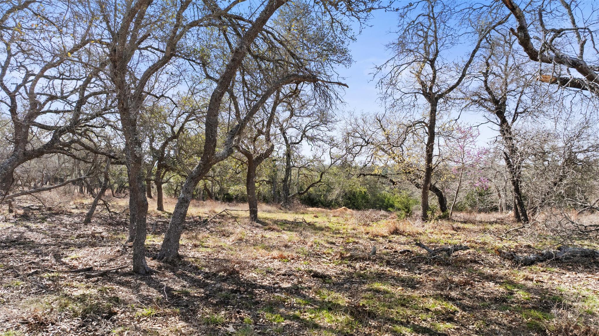 Tract 10 Ranch Road 1623