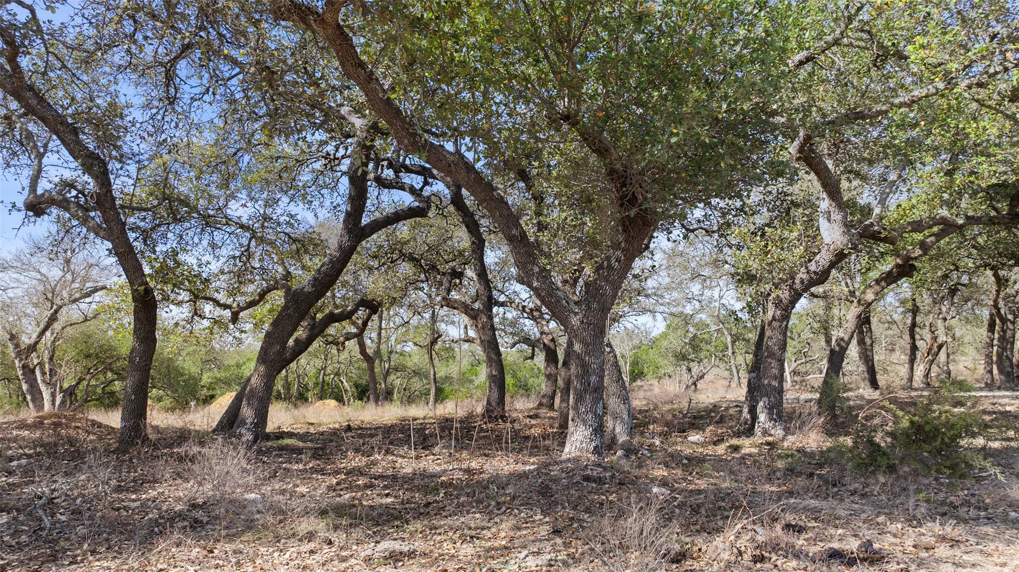 Tract 10 Ranch Road 1623
