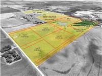 Tract 1 - 75 Acres County Road 419