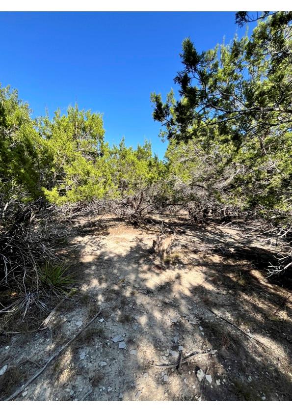 10802 & 10804 Timber Circle CIR