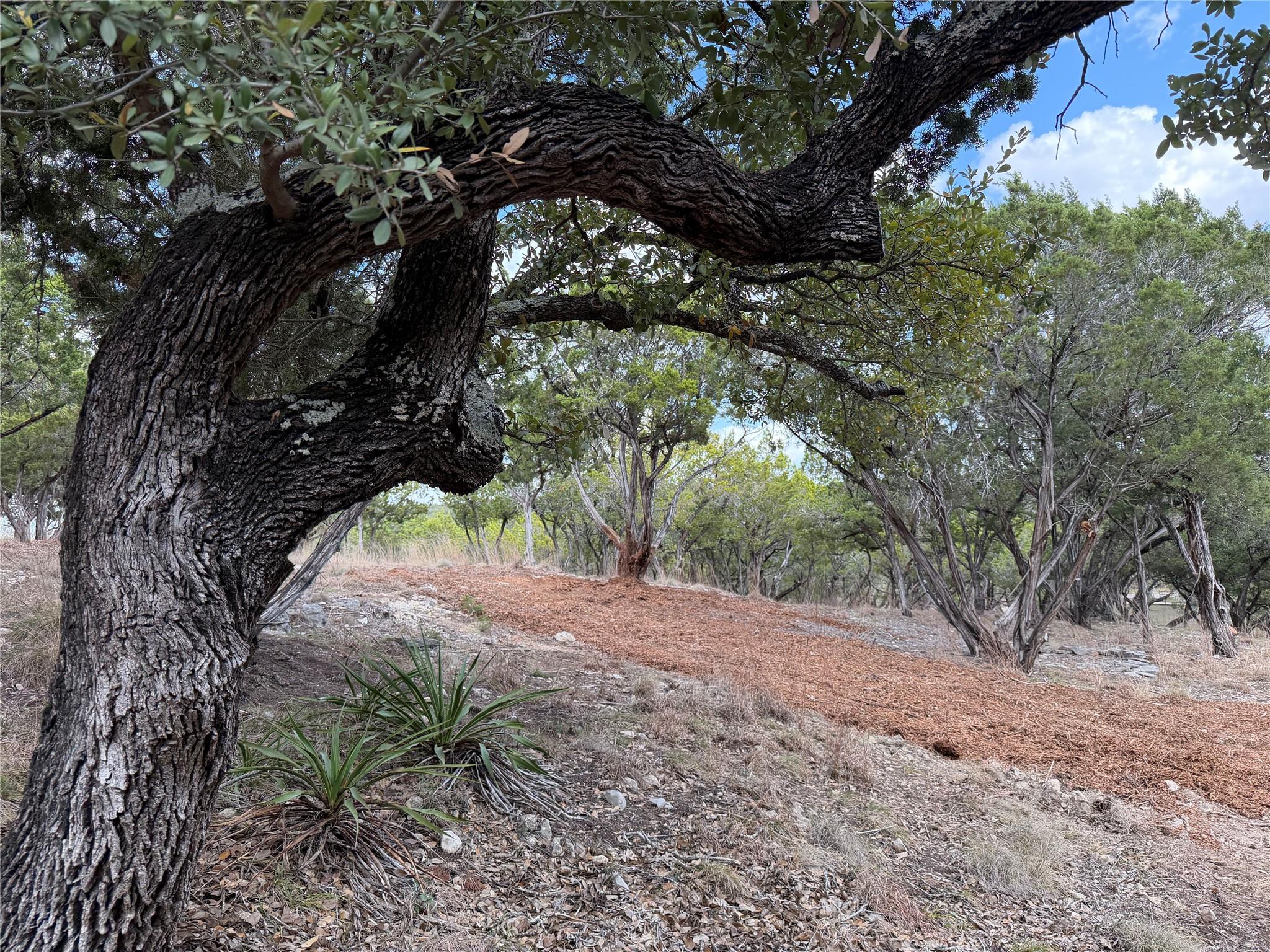 TBD Rancho Grande DR