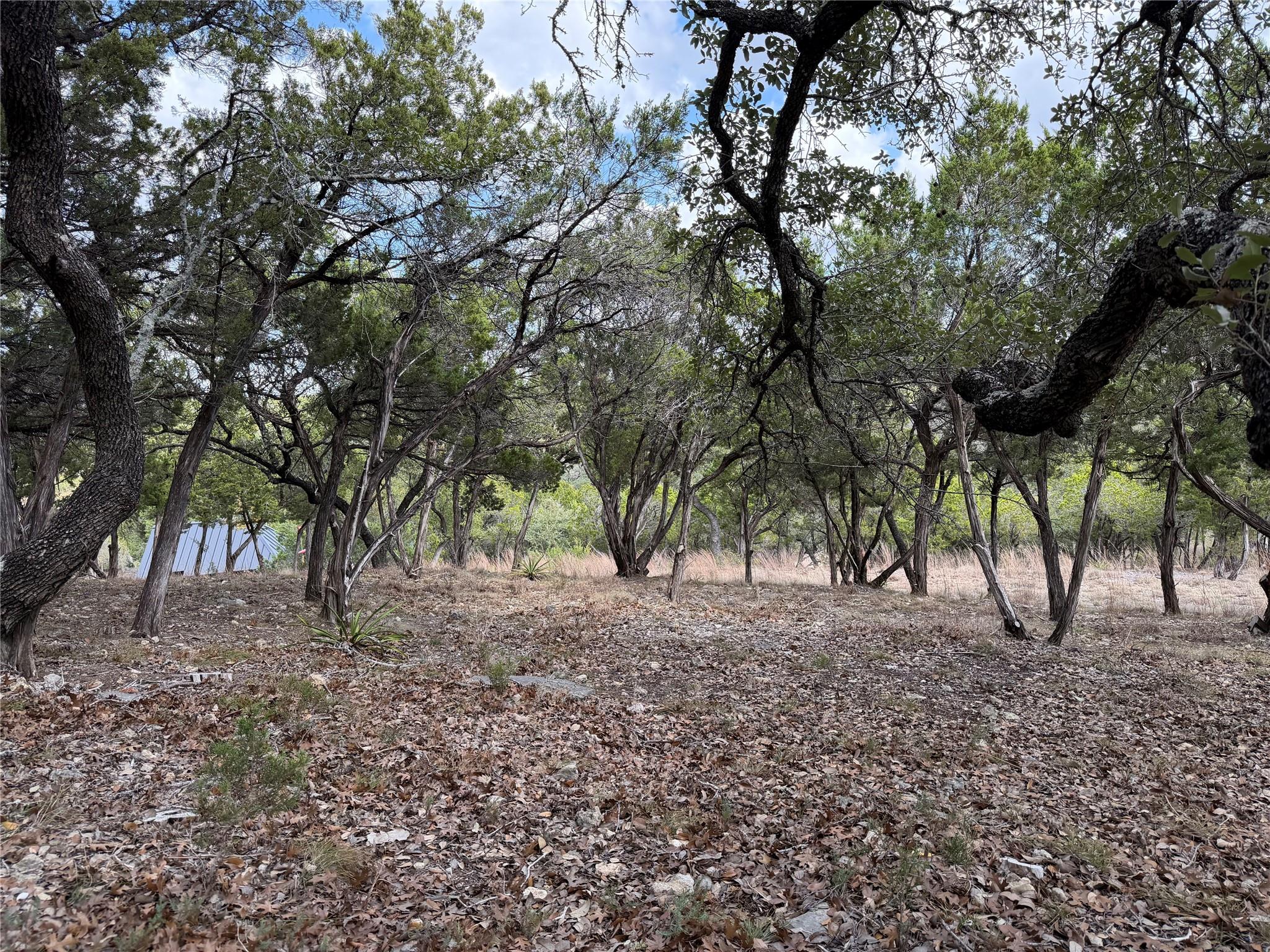 TBD Rancho Grande DR