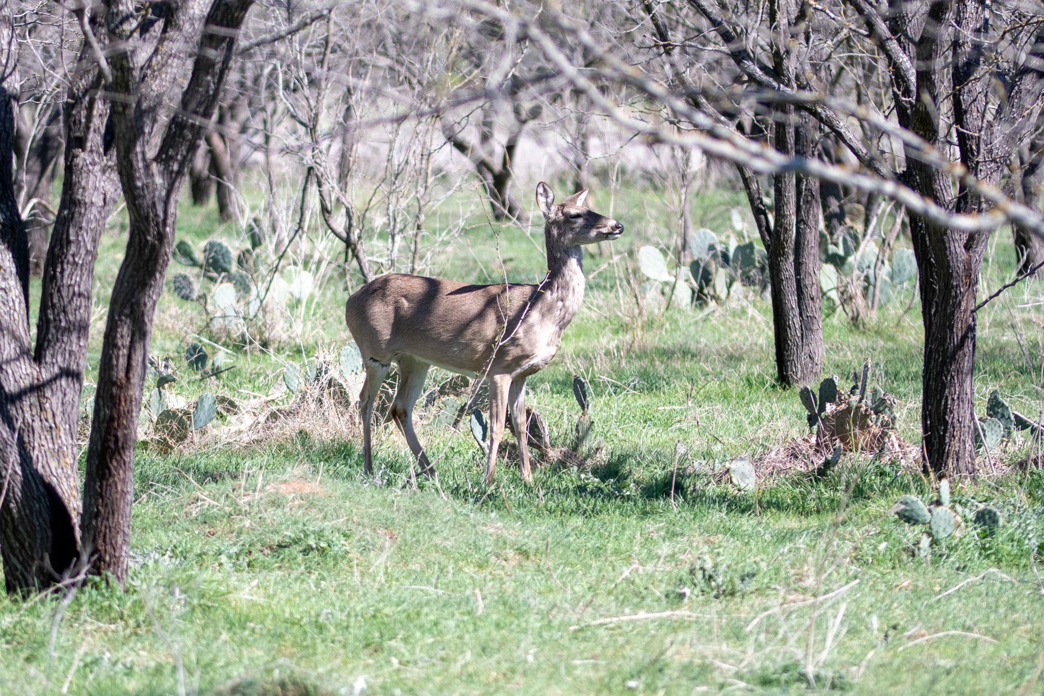 25 Acres Private Road 1789