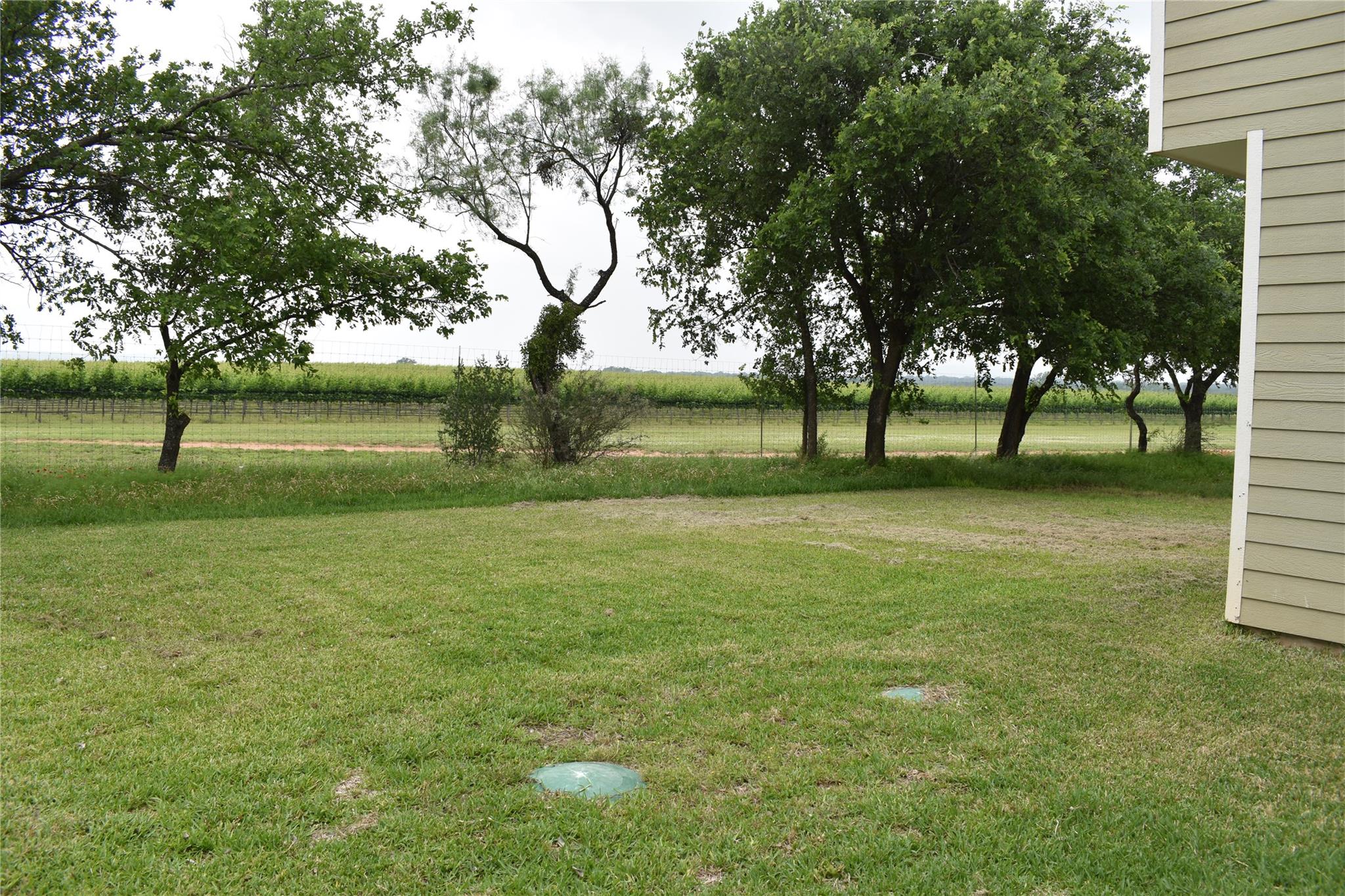 1559 County Road 119