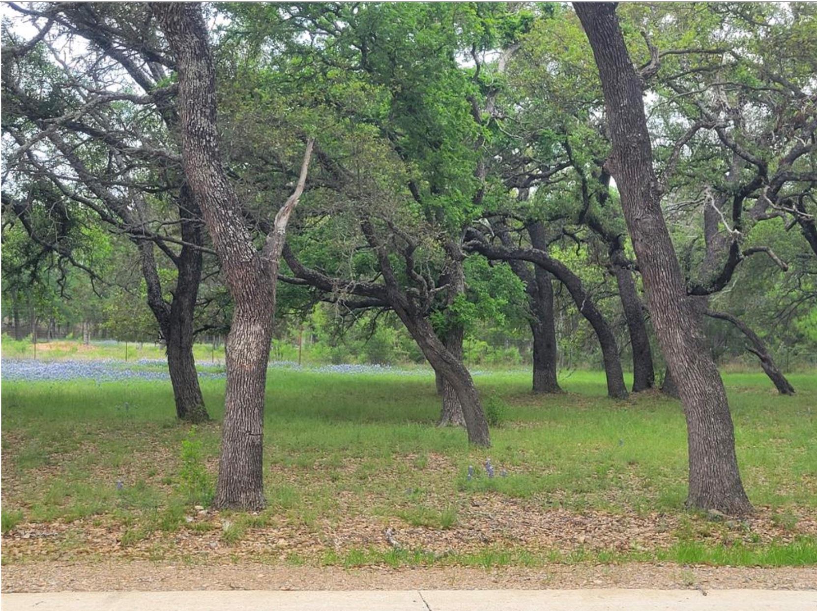 Photo 1 of 7 — 208 Cactus COR, Horseshoe Bay, TX 78657